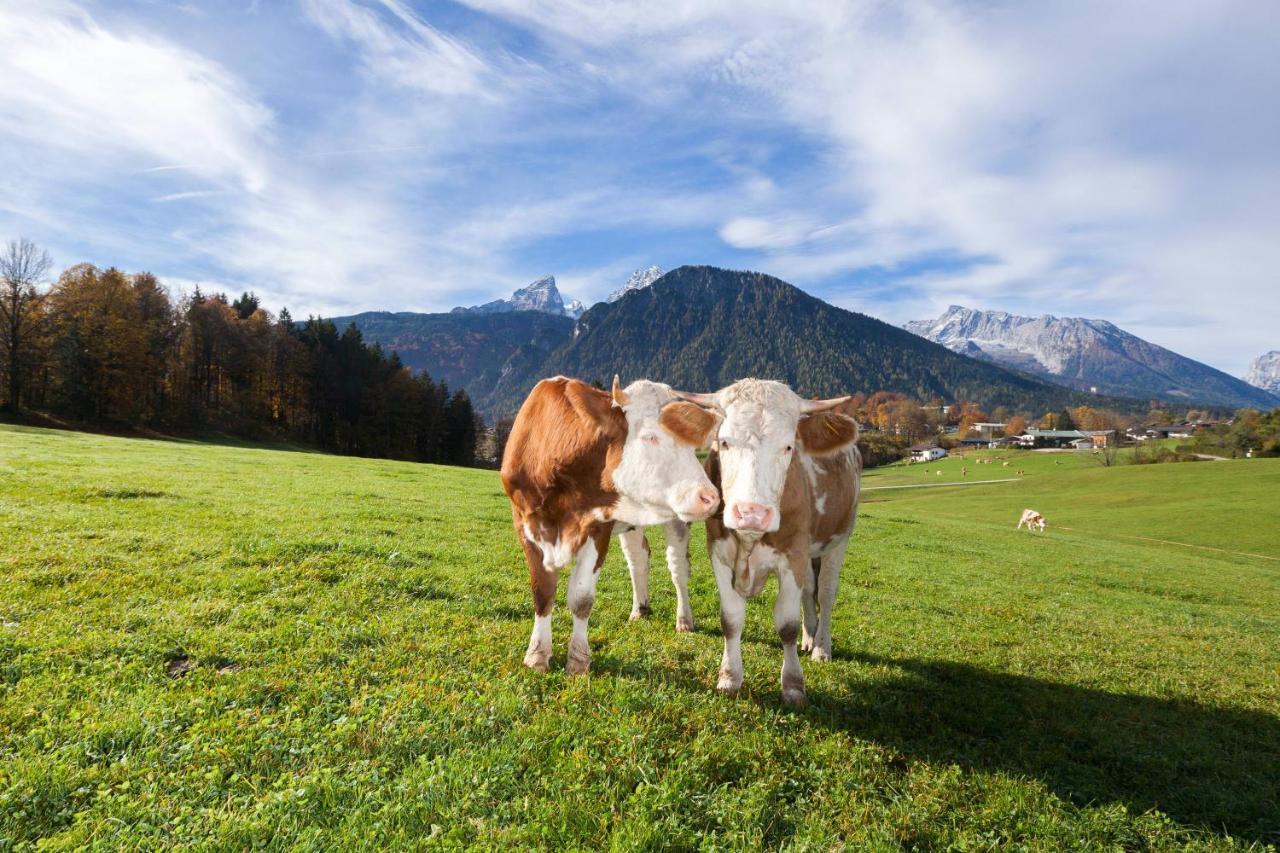 Gaestehaus Untersulzberglehen Schoenau am Koenigsee Luaran gambar